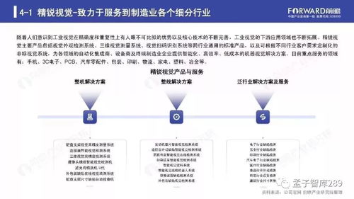 2019年人工智能行業(yè)現(xiàn)狀與發(fā)展趨勢(shì)報(bào)告 聚焦基礎(chǔ)軟件開發(fā)