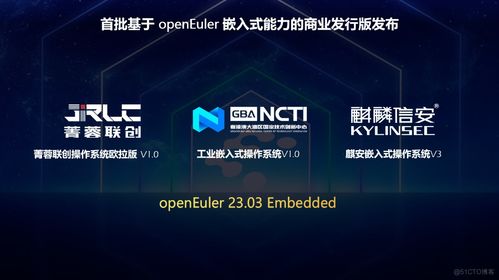 OpenEuler年度盛會(huì) AI基礎(chǔ)軟件開發(fā)的突破與展望