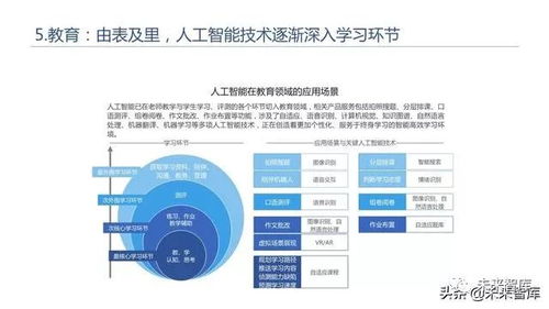 2019年人工智能基礎(chǔ)軟件開發(fā)白皮書 技術(shù)突破與生態(tài)構(gòu)建
